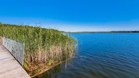 jezioro Roś - zdjęcie 41