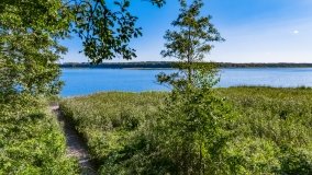 jezioro Roś - zdjęcie 40