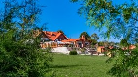 Szczechy Małe - zdjęcie 6