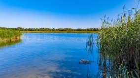 jezioro Roś - zdjęcie 39