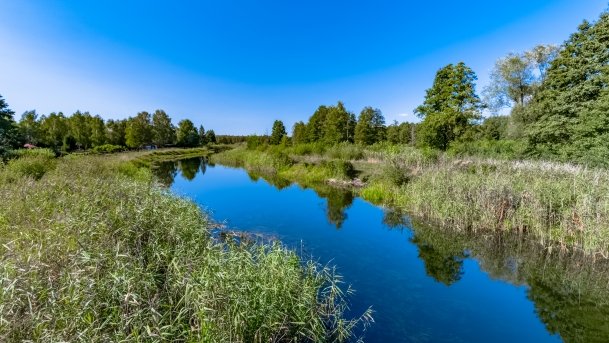 Szczechy Małe - zdjęcie 3