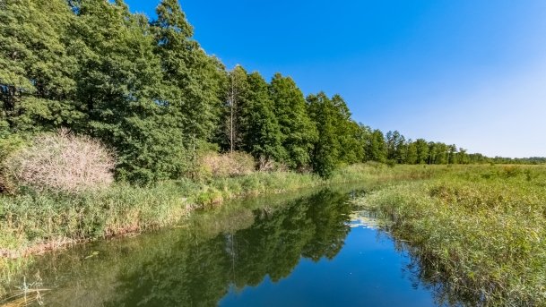 Szczechy Małe - zdjęcie 2