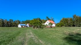 Imionek - zdjęcie 31