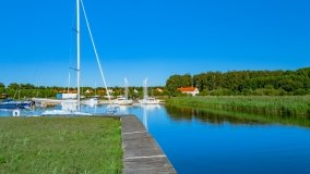 Imionek - zdjęcie 27