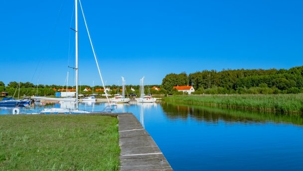 Imionek - zdjęcie 27