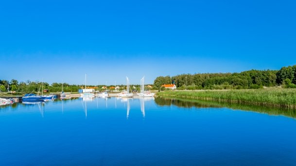 Imionek - zdjęcie 25