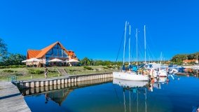 Imionek - zdjęcie 24