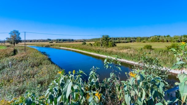 Imionek - zdjęcie 15