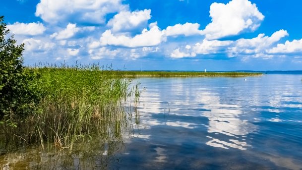 Niedźwiedzi Róg - zdjęcie 19