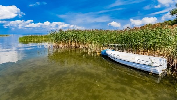 Niedźwiedzi Róg - zdjęcie 18