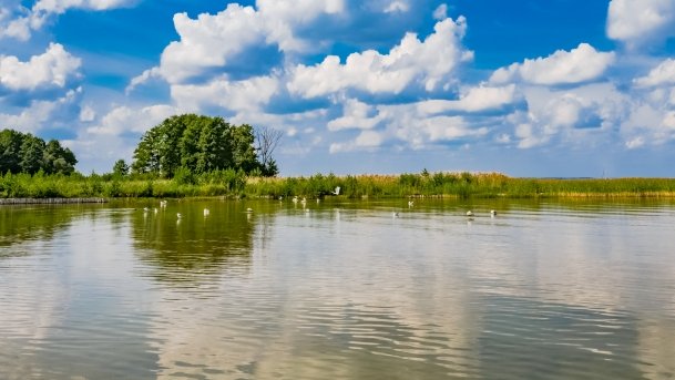 Niedźwiedzi Róg - zdjęcie 16