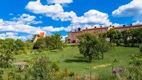 Wejsuny - zdjęcie 78