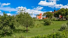 Wejsuny - zdjęcie 77