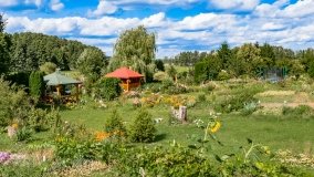 Wejsuny - zdjęcie 76