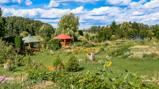 Wejsuny - zdjęcie 34