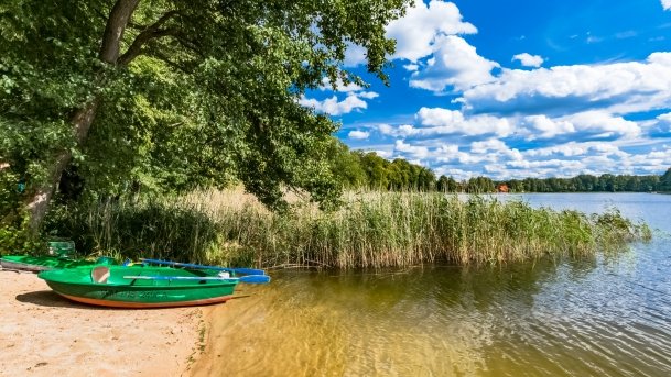 Wejsuny - zdjęcie 31