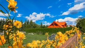 Wejsuny - zdjęcie 66