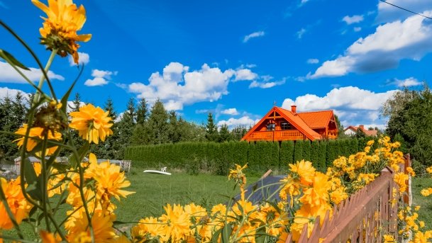 Wejsuny - zdjęcie 24