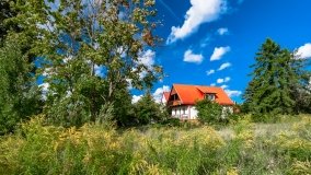 Wejsuny - zdjęcie 46