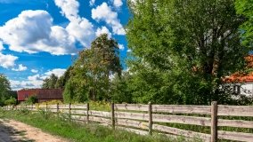 Wejsuny - zdjęcie 45