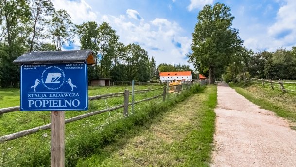 Muzeum w Popielnie, Stacja Badawcza - zdjęcie 27