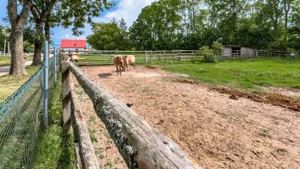 Muzeum w Popielnie, Stacja Badawcza - zdjęcie 25