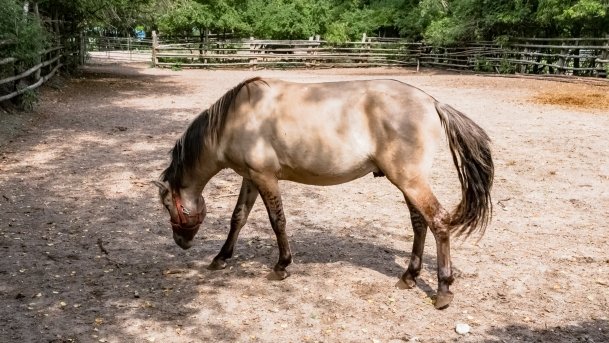 Muzeum w Popielnie, Stacja Badawcza - zdjęcie 21