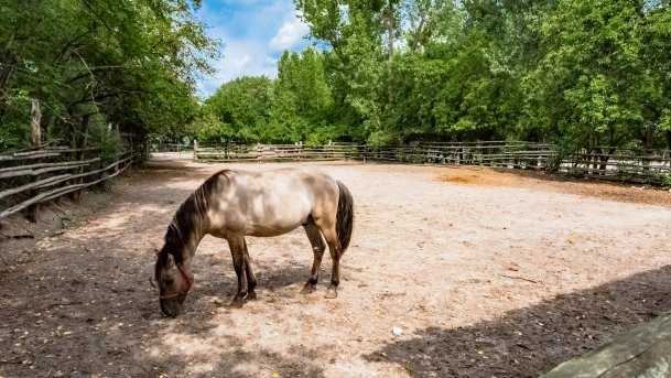 Muzeum w Popielnie, Stacja Badawcza - zdjęcie 20