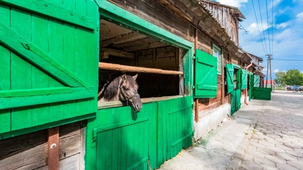 Muzeum w Popielnie, Stacja Badawcza - zdjęcie 19