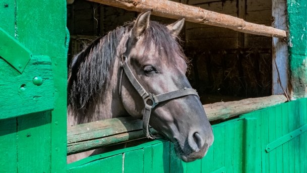 Muzeum w Popielnie, Stacja Badawcza - zdjęcie 18
