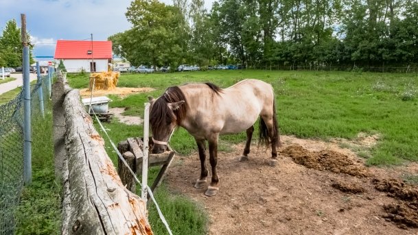 Muzeum w Popielnie, Stacja Badawcza - zdjęcie 10