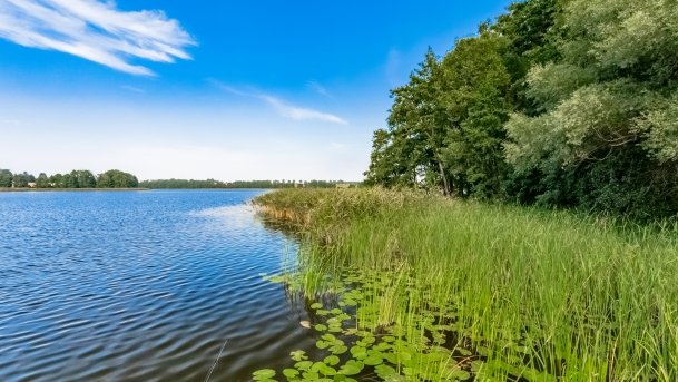 Wojnowo - zdjęcie 58