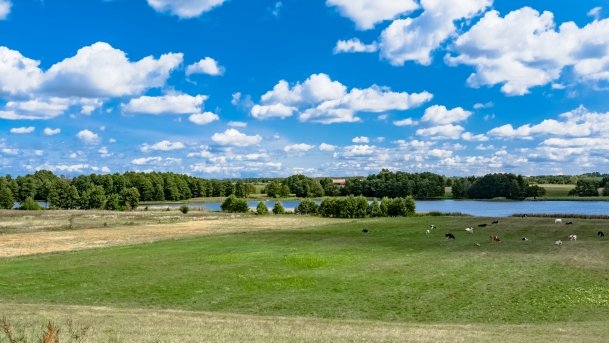 Marcinowa Wola - zdjęcie 43