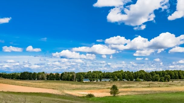 Marcinowa Wola - zdjęcie 42