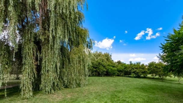 Marcinowa Wola - zdjęcie 40