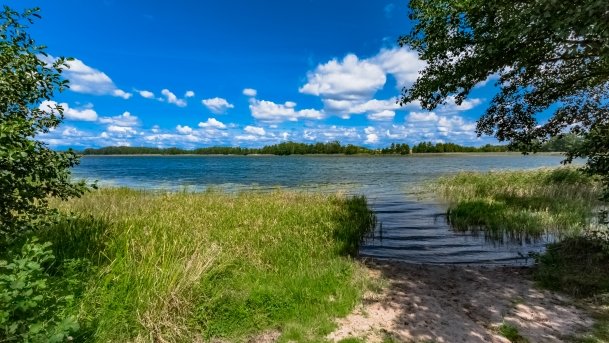 Marcinowa Wola - zdjęcie 19