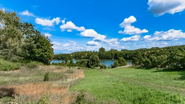 Marcinowa Wola - zdjęcie 11