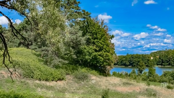 Marcinowa Wola - zdjęcie 9