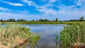 Ruska Wieś - zdjęcie 5