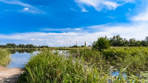 Osiedle Grajwo - zdjęcie 16