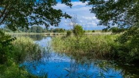 Osiedle Grajwo - zdjęcie 15