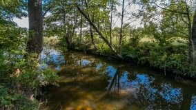 Osiedle Grajwo - zdjęcie 14