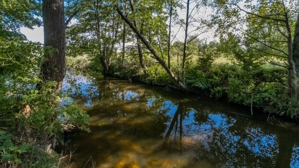 Osiedle Grajwo - zdjęcie 14
