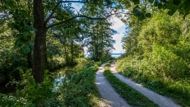 Osiedle Grajwo - zdjęcie 13