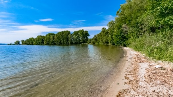 Osiedle Grajwo - zdjęcie 12