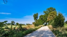 Osiedle Grajwo - zdjęcie 10