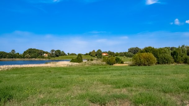 Osiedle Grajwo - zdjęcie 4