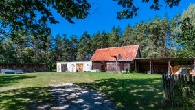 Zamordeje - zdjęcie 19