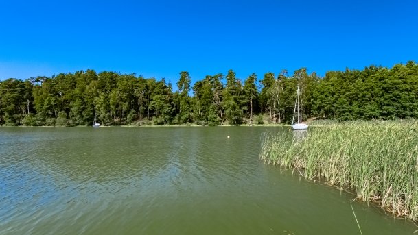 Zamordeje - zdjęcie 16