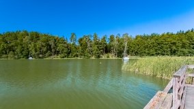 Zamordeje - zdjęcie 14